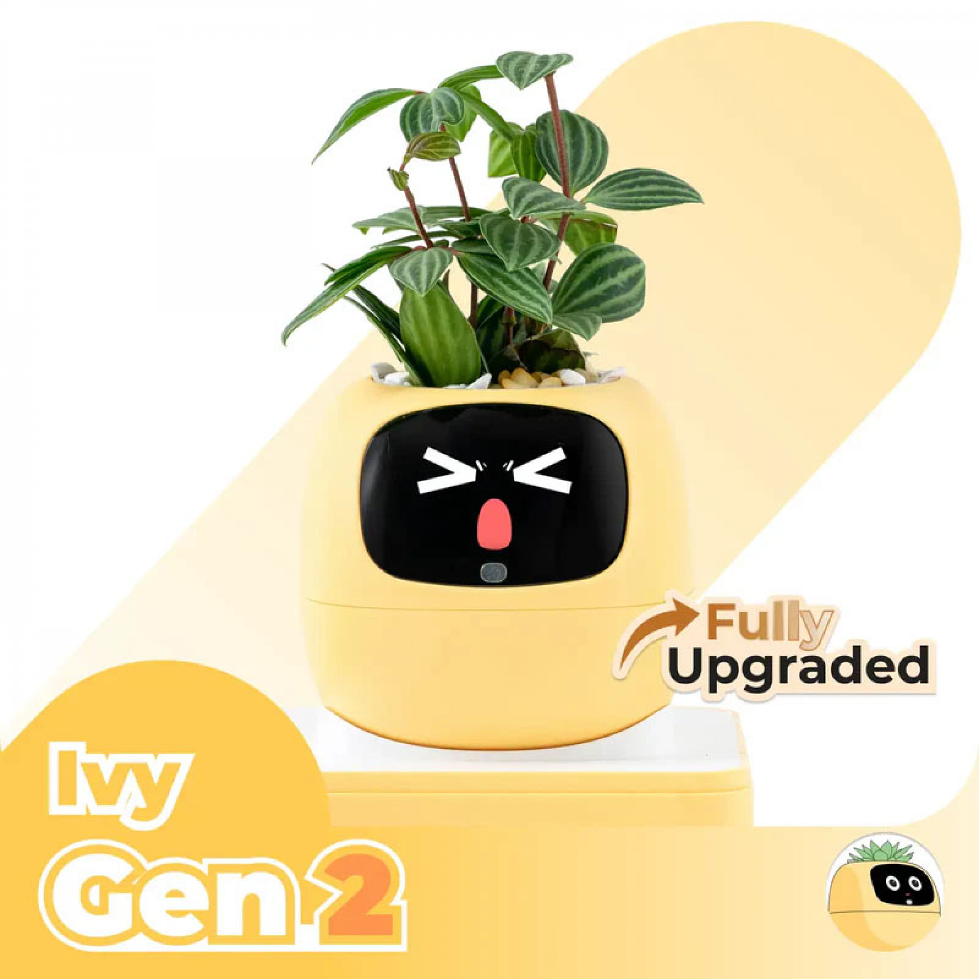Розумний горщик для рослин з екраном та сенсорами Plantsio Ivy Gen 2